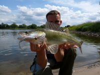 zanderguiding-26092012-34