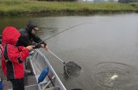 zanderguiding-26092012-7