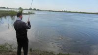 03-zander-guiding-2021