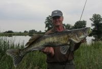 28-zander-guiding-2021