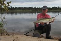 41-zander-guiding-2021