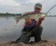 46-zander-guiding-2021