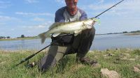 51-zander-guiding-2021