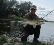 58-zander-guiding-2021