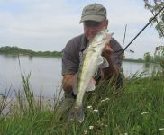 63-zander-guiding-2021