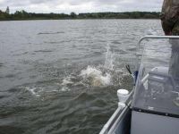 zanderguiding-27092007-2