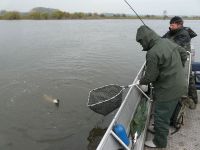 zanderguiding-27102010-1