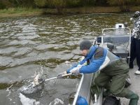 zanderguiding-27102010-11