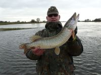 zanderguiding-27102010-18