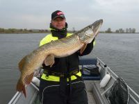 zanderguiding-27102010-2