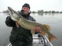 zanderguiding-27102010-6