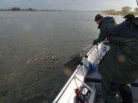 zanderguiding-27102010-9