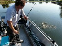 zanderguiding-30092009-8