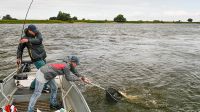 zanderguiding-30092014-10