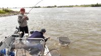 zanderguiding-30092014-19