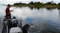 zanderguiding-30092014-32