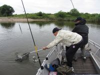 zanderguiding-30092014-35