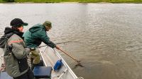 zanderguiding-30092014-6