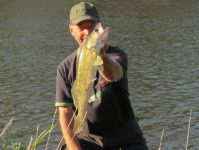 zanderguiding-30092016-14