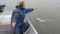 zanderguiding-30112012-25