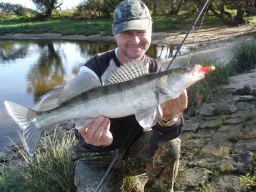 fangfoto-elbe-buhne-zander