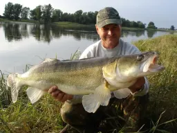 fangfoto-grosszander-elbe