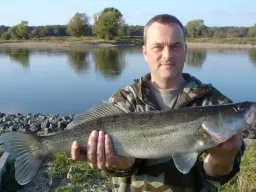 fangfoto-zander-elbe-hauptstrom