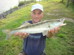 fangfoto-kanal-zander