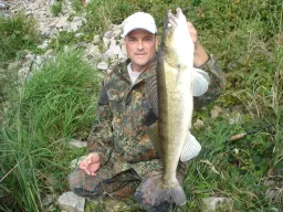 Die Elbe liefert beim Zanderangeln-Direkt an der Steinschüttung kam der Einschlag, Petri Heil
