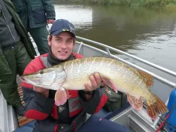 Zanderangeln in der Morgendämmerung – die magische Stunde an der Elbe, aber dieses mal attackierte ein dicker Hecht den Gummiköder