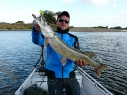 Die Buhnenfelder der Elbe sind immer für eine Überraschung gut, dieses mal ließ sich Mister Glasauge nicht blicken, aber die Hechte hatten bei dieser Angeltour richtig Bock.