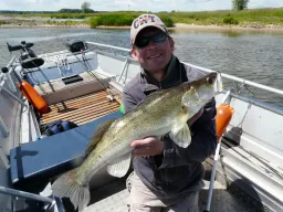 Den Gummifisch komplett inhalliert-Zanderangeln in den Elbbuhnen macht richtig spaß, natürlich nur wenn die Zander in Beißlaune sind