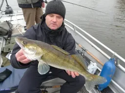 Bei einem Zander-Guiding an der Elbe kam der ersehnte Biss direkt am Prallhang, Petri Heil