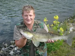 Zanderangeln am Kanal, den Gummifisch direkt an der Steinpackung geführt hat hier bei dieser Angeltour zum Erfolg geführt