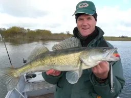 fangfoto-zander-elbe-boot-herbst
