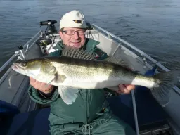 fangfoto-zander-elbe-boot-herbstsonne