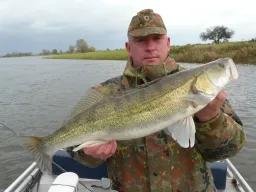 fangfoto-zander-elbe-boot-soldat