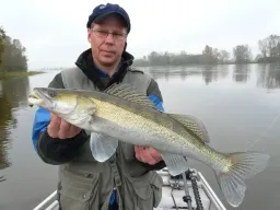 fangfoto-zander-elbe-boot-windstille