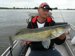 elbzander-fangfoto-boot