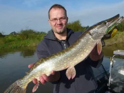 schlanker-hecht-fangfoto-elbe-boot