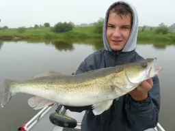 sommerzander-fangfoto-elbe-boot-windstille