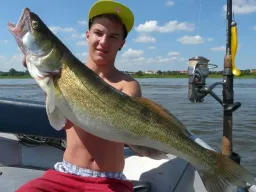 zander-fangfoto-elbe-boot-hitze