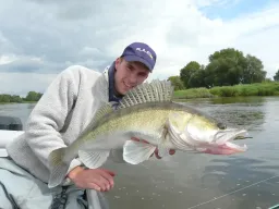 zander-fangfoto-elbe-boot