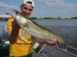 elbe-zander-fangfoto-boot-sonne