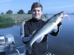 stachelritter-fangfoto-elbe