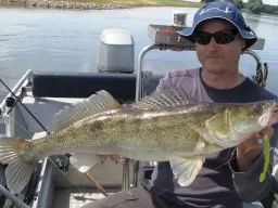 zander-sonne-elbe-boot-fangfoto