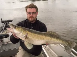 grosser-zander-elbe-fangfoto
