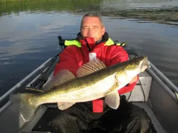 zander-elbe-fangfoto