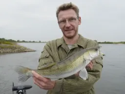 elbe-zander-fangfoto Gemeinsam zum Erfolg: Wenn die Taktik aufgeht und der Zielfisch Zander im Kescher liegt, so wie bei dieser Angeltour auf der Elbe