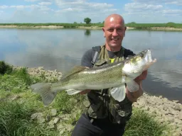 sommerzander-elbe-fangfoto-steinpackung Bei herrlichen Sommerwetter beim Zander angeln in der Elbe kam der Biss direkt vor den Füßen an der Steinpackung